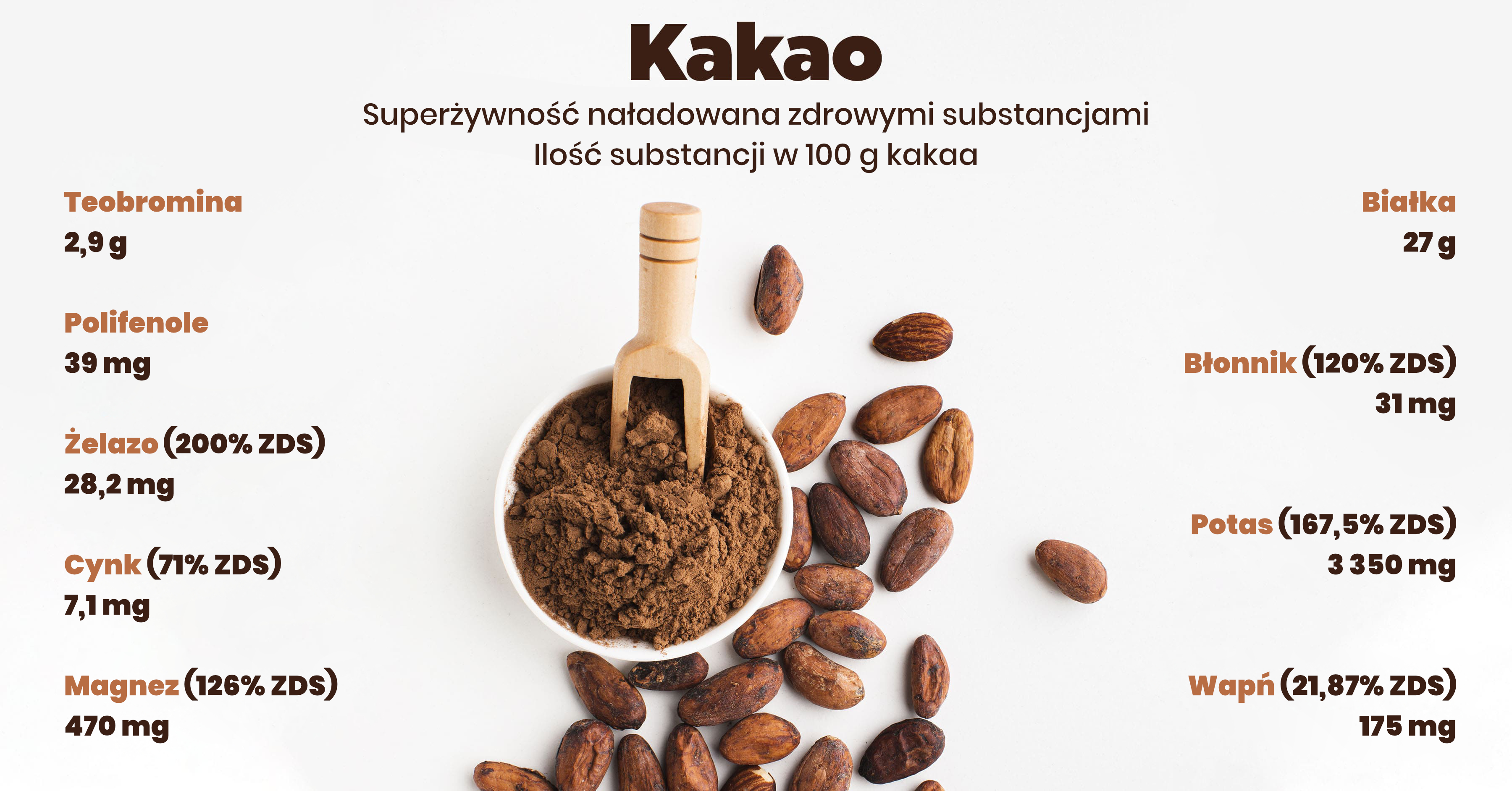 složení kakaa_infografika_pl